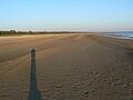 Võrtsjärv shore during an extremely low tide, near Valma (2006)