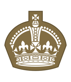 A large Tudor Crown
