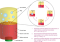 Thumbnail for version as of 05:14, 22 November 2022