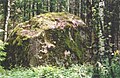 Rehessaare glacial erratic in Kõrveküla's territory.