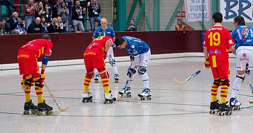 Quad hockey