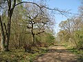 Thumbnail for version as of 16:14, 20 April 2009
