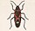 Stub icon