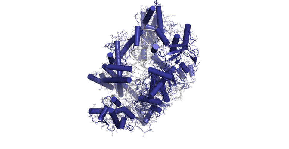 File:CRISPR Cas system.png