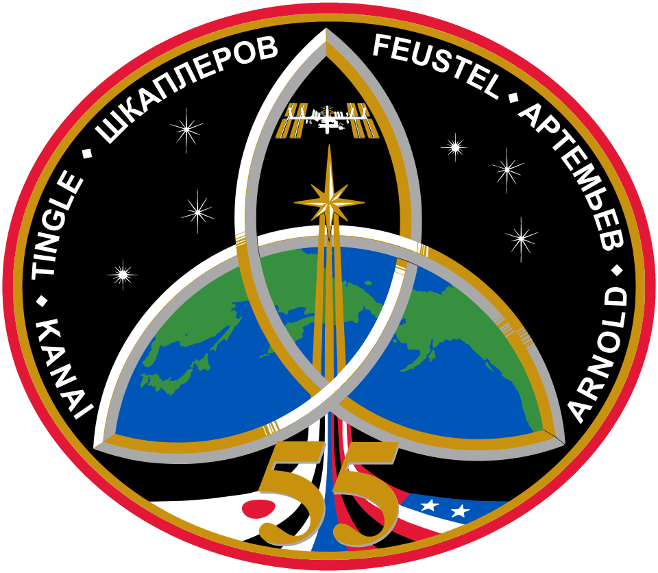 File:ISS Expedition 55 Patch.svg