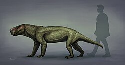 (Non-dinosaur), Inostrancevia