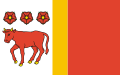 Flag of Gmina Wojcieszków