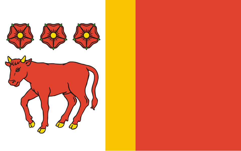 File:POL gmina Wojcieszków flag.svg