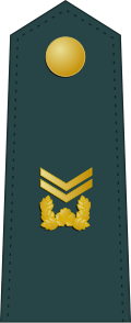 File:SouthKorea-Army-OR-6.svg