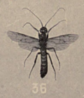 Thumbnail for version as of 18:21, 25 September 2017