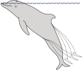 Thumbnail for version as of 23:16, 9 July 2011