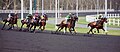 Thumbnail for version as of 00:09, 23 February 2011