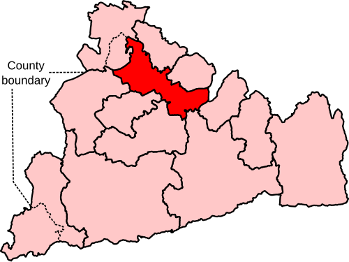 File:Runnymede and Weybridge Constituency 2023.svg