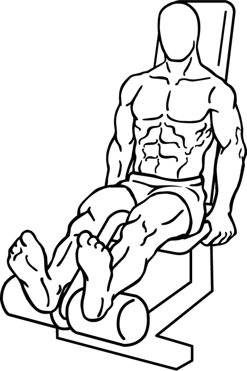 File:Seated-leg-curl-2.png