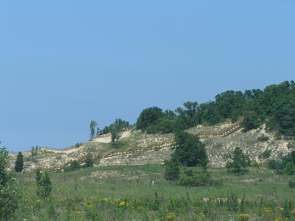 File:West Beach Succession Trail Dune.JPG