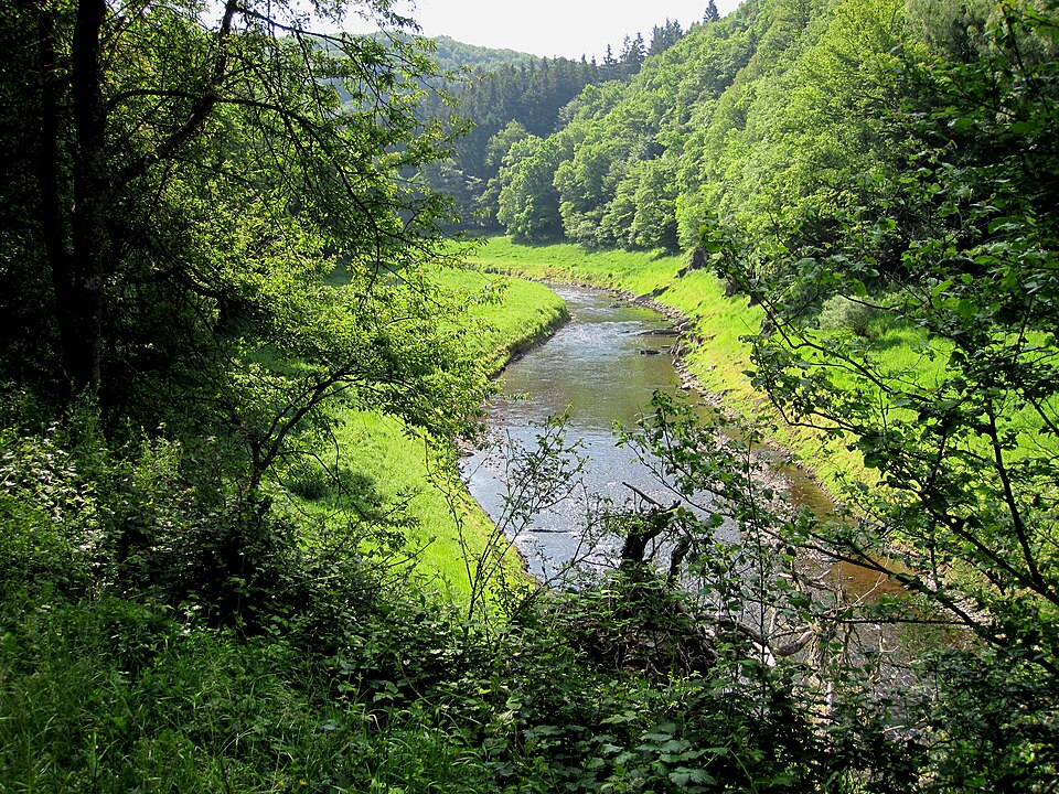 File:20140531 Kermeter-Urft 01.JPG