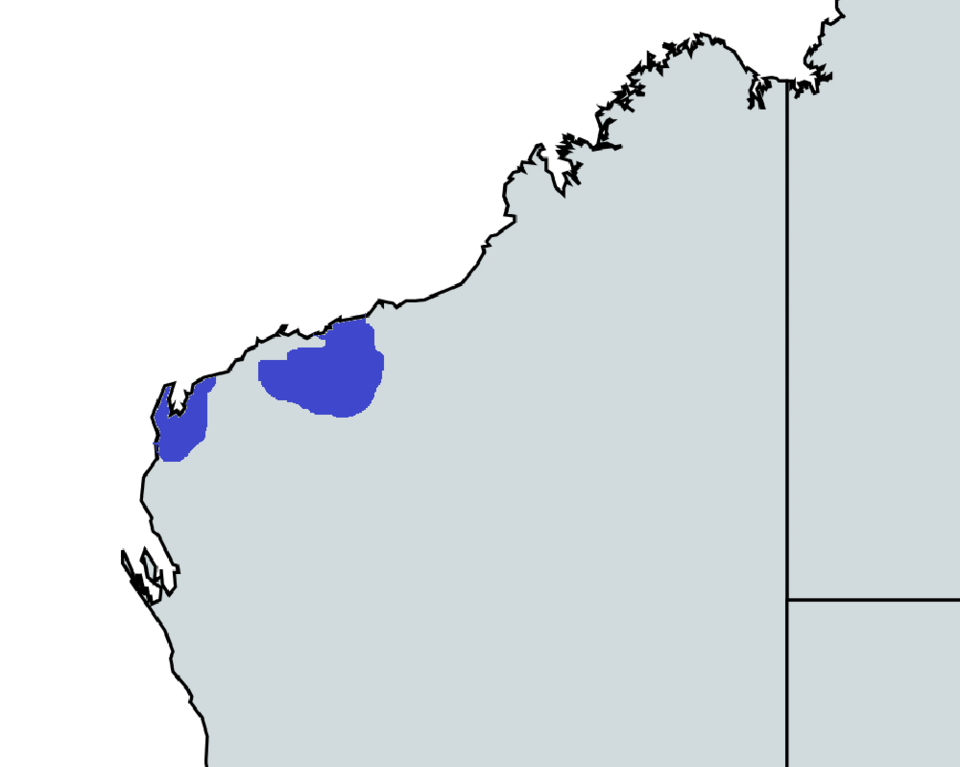 File:Amytornis whitei map.png