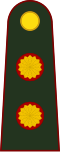 General de brigada(Argentine Army)