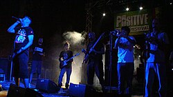 Boomdabash & The Cool Steppers band - Live at Positive River festival (2011)