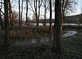Thumbnail for version as of 16:35, 12 December 2011