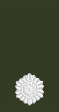 Thumbnail for version as of 16:05, 13 October 2024