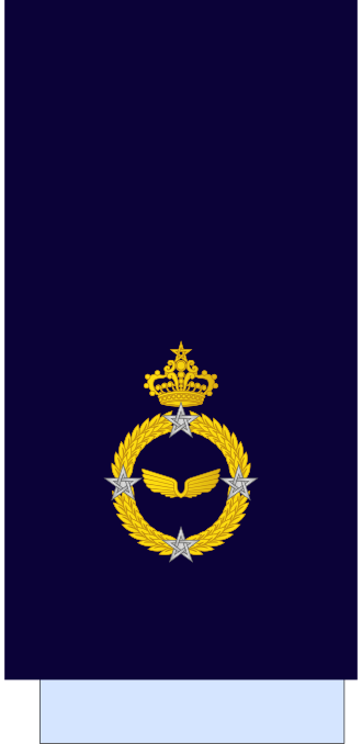 File:Morocco-AirForce-OF-8 Sleeve.svg