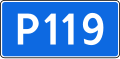 R119