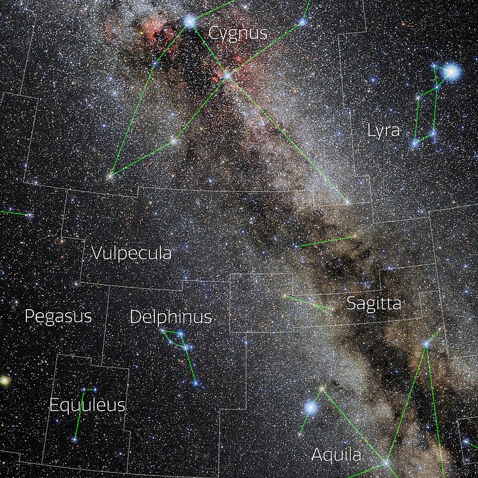 File:Vulpecula (Annotated) (vulpecula-ann).jpg