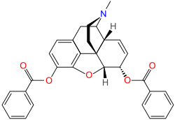 Chemical structure of dibenzoylmorphine.