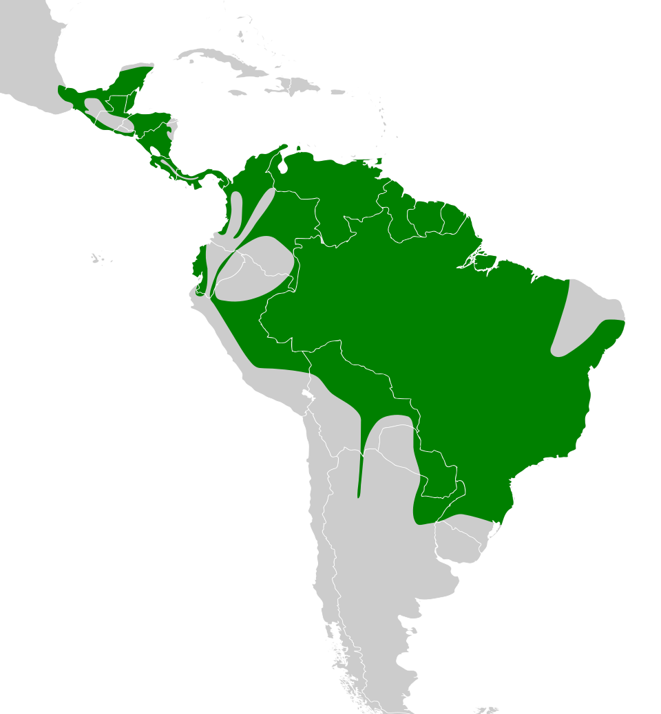File:Tolmomyias sulphurescens map.svg