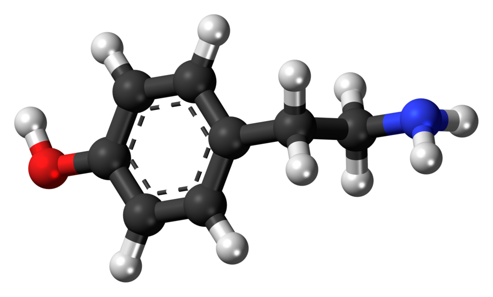 File:Tyramine 3D ball.png