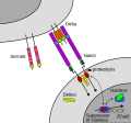 Thumbnail for version as of 01:05, 19 October 2014