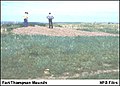 Thumbnail for version as of 03:20, 11 June 2009