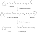 Thumbnail for version as of 14:19, 29 September 2011