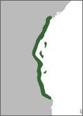 Thumbnail for version as of 03:45, 6 February 2020