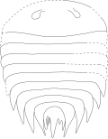 Thumbnail for version as of 15:10, 20 July 2022