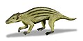 Thumbnail for version as of 07:16, 8 November 2007