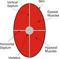 Thumbnail for version as of 05:12, 20 December 2009