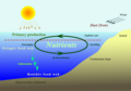 Thumbnail for version as of 08:58, 23 June 2007