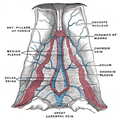 Thumbnail for version as of 14:21, 19 January 2006