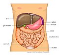 Thumbnail for version as of 21:02, 28 September 2010