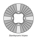 Thumbnail for version as of 04:39, 21 May 2021