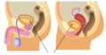 Thumbnail for version as of 22:08, 12 November 2023