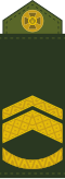 Thumbnail for version as of 21:15, 2 January 2017