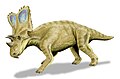 Thumbnail for version as of 06:01, 3 November 2007