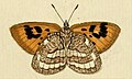 Thumbnail for version as of 18:26, 4 July 2012
