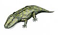 Thumbnail for version as of 07:46, 19 January 2007