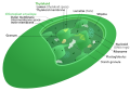 Thumbnail for version as of 00:22, 18 May 2013