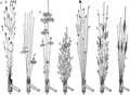 Thumbnail for version as of 22:45, 15 May 2009