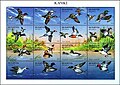 Thumbnail for version as of 13:21, 23 March 2011